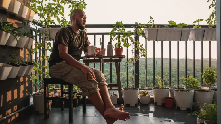 Como fazer uma horta orgânica passo a passo