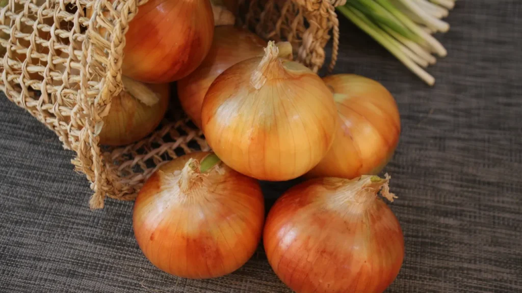 O Poder da Cebola O Poder da Cebola