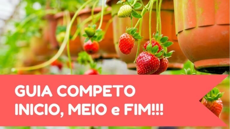 Morango em Vaso: Guia Definitivo
