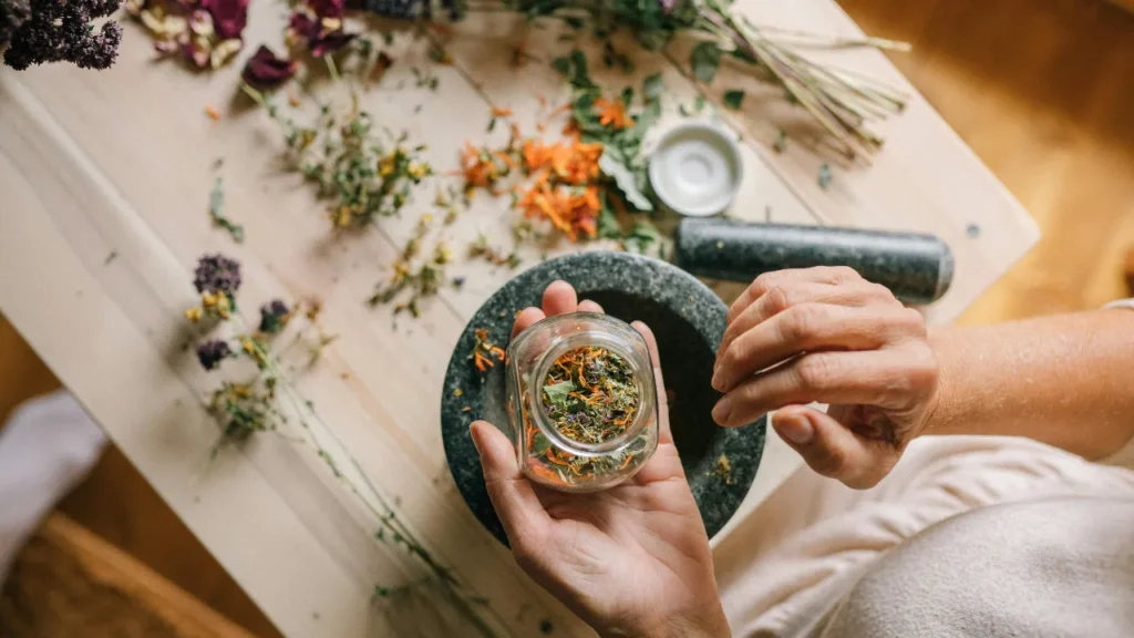 Fitoterapia SUS lança curso gratuito online sobre medicina natural