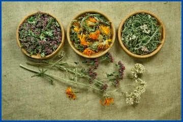 Terapeuta em Fitoterapia e Plantas Medicinais