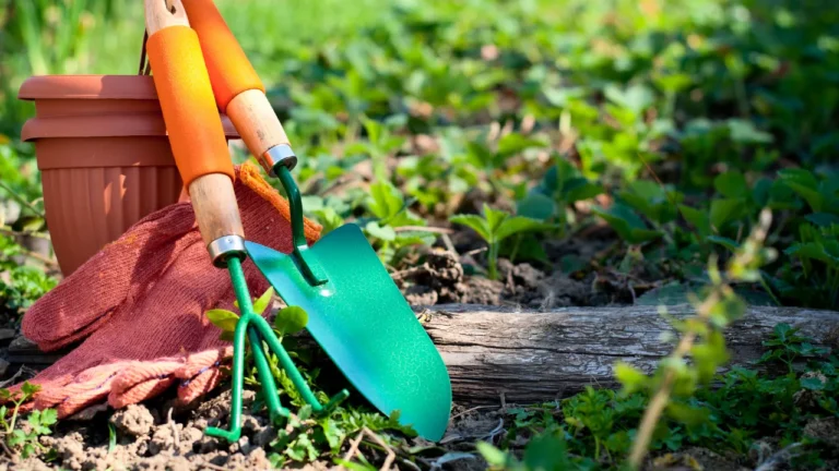 Como Identificar os Tipos de Solo para Jardinagem