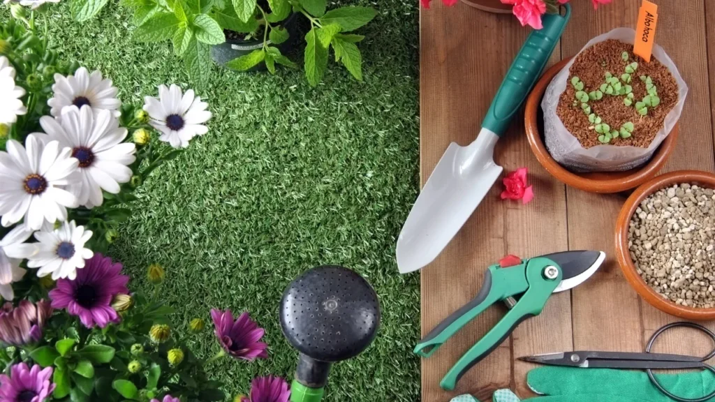 Como Começar um Jardim do Zero Como Começar um Jardim do Zero