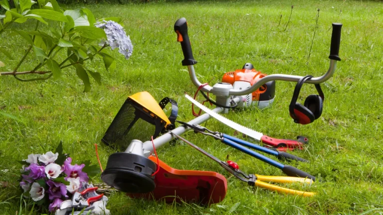Como Começar um Jardim do Zero