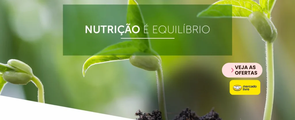 melhores adulbos